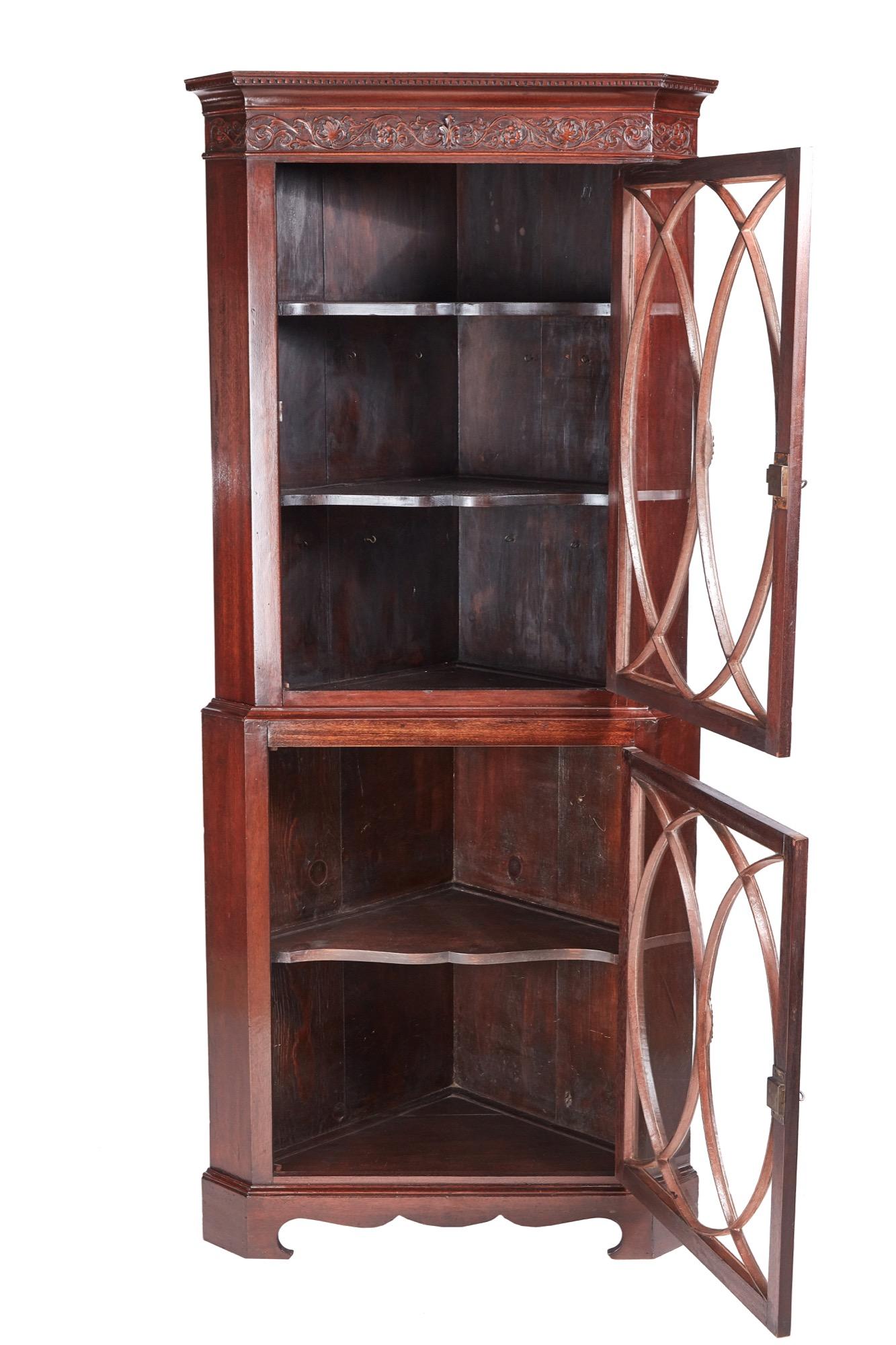 Antique mahogany astragal glazed corner cabinet with an attractive shaped cornice on the top section and a carved frieze. The shaped carved astragal glazed door opens to reveal two shaped shelves. The lower section has one shaped carved astragal