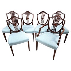 Antique Mahogany Dining Chairs Federal Hepplewhite Shield Back Set of 6