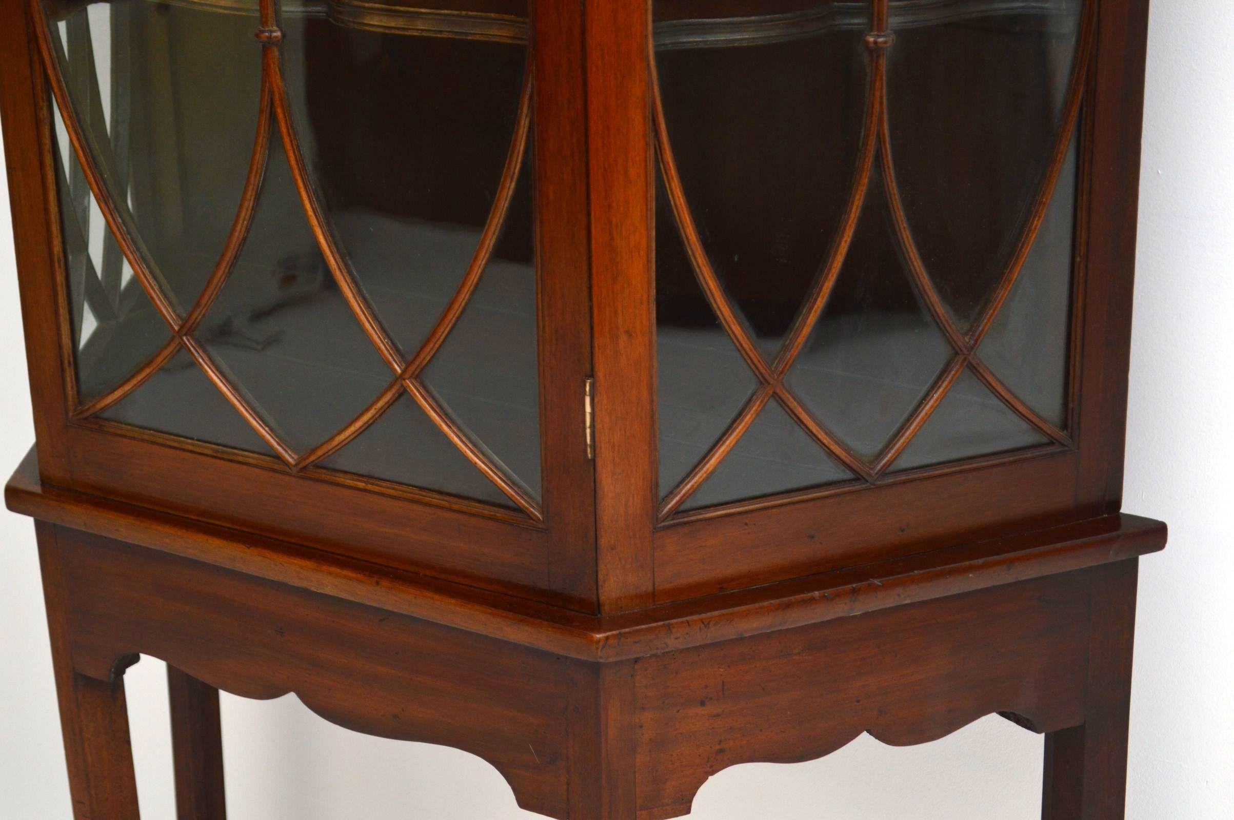 Late 19th Century Antique Mahogany Display Cabinet on Stand