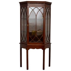 Antique Mahogany Display Cabinet on Stand