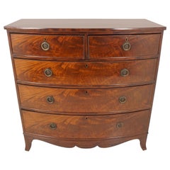 Antique Mahogany Dresser, Early 19th Century, Bow Front Chest of Drawers