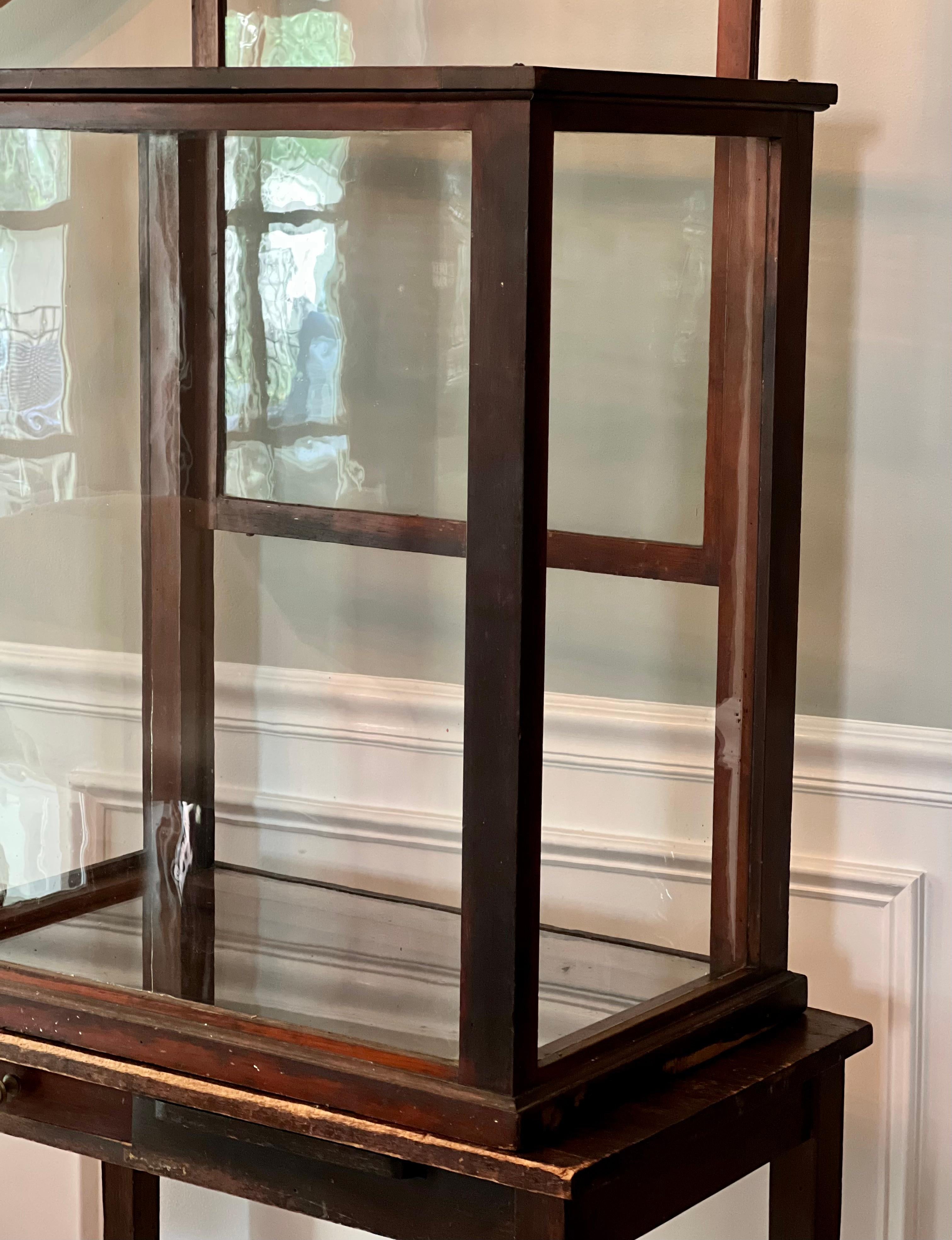 Antique English Mahogany and Glass Countertop Shop Display Case For Sale 4