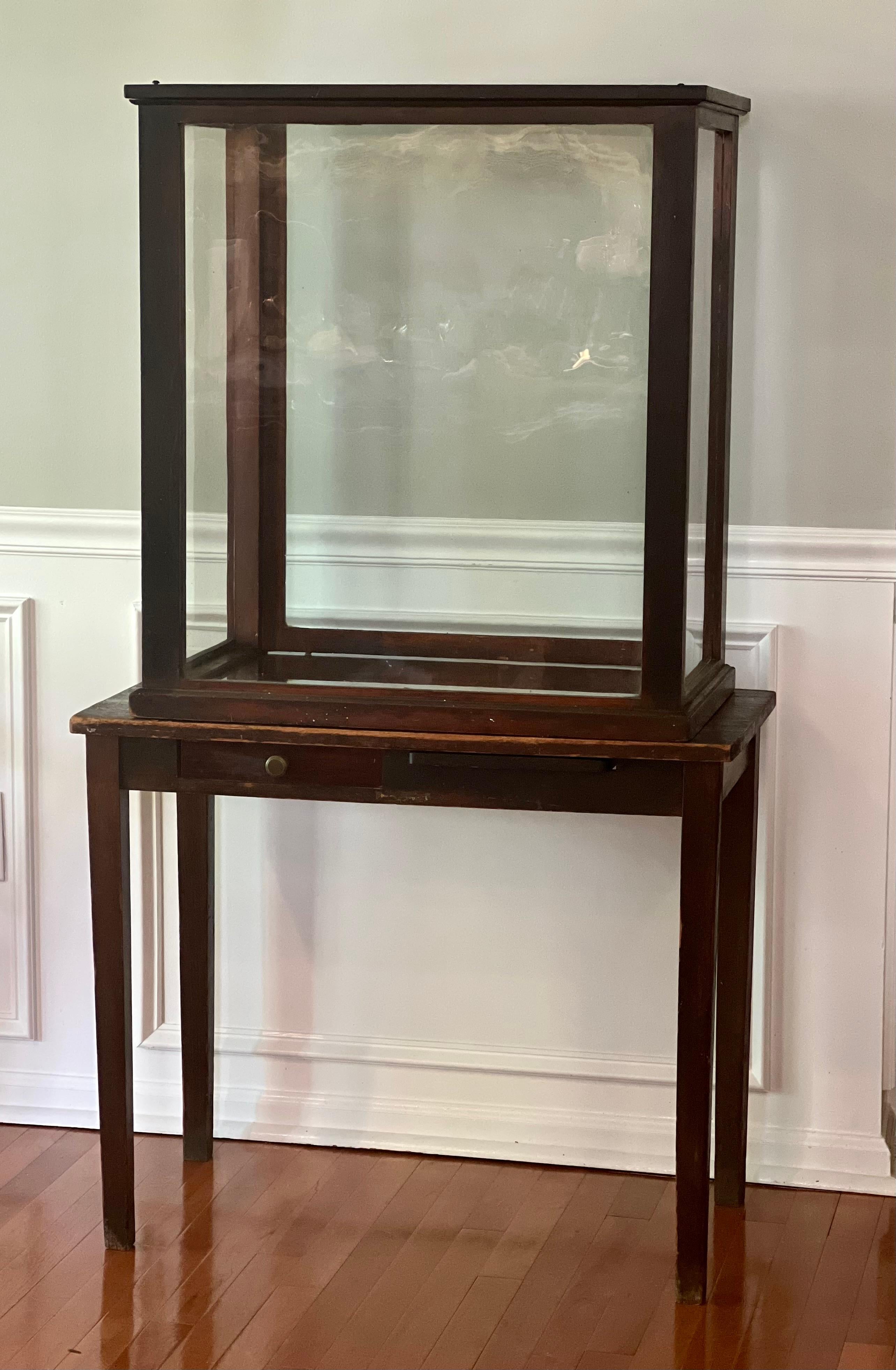 Antique English Mahogany and Glass Countertop Shop Display Case For Sale 5