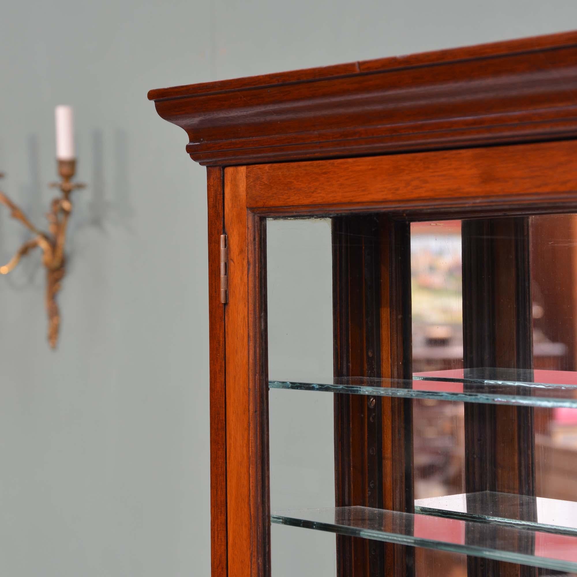 19th Century Antique mahogany glazed mirror backed hanging shop display cabinet For Sale
