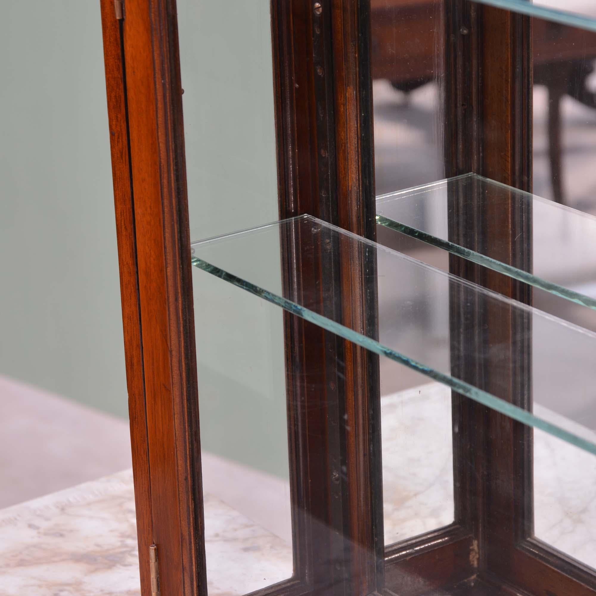 Mahogany Antique mahogany glazed mirror backed hanging shop display cabinet For Sale