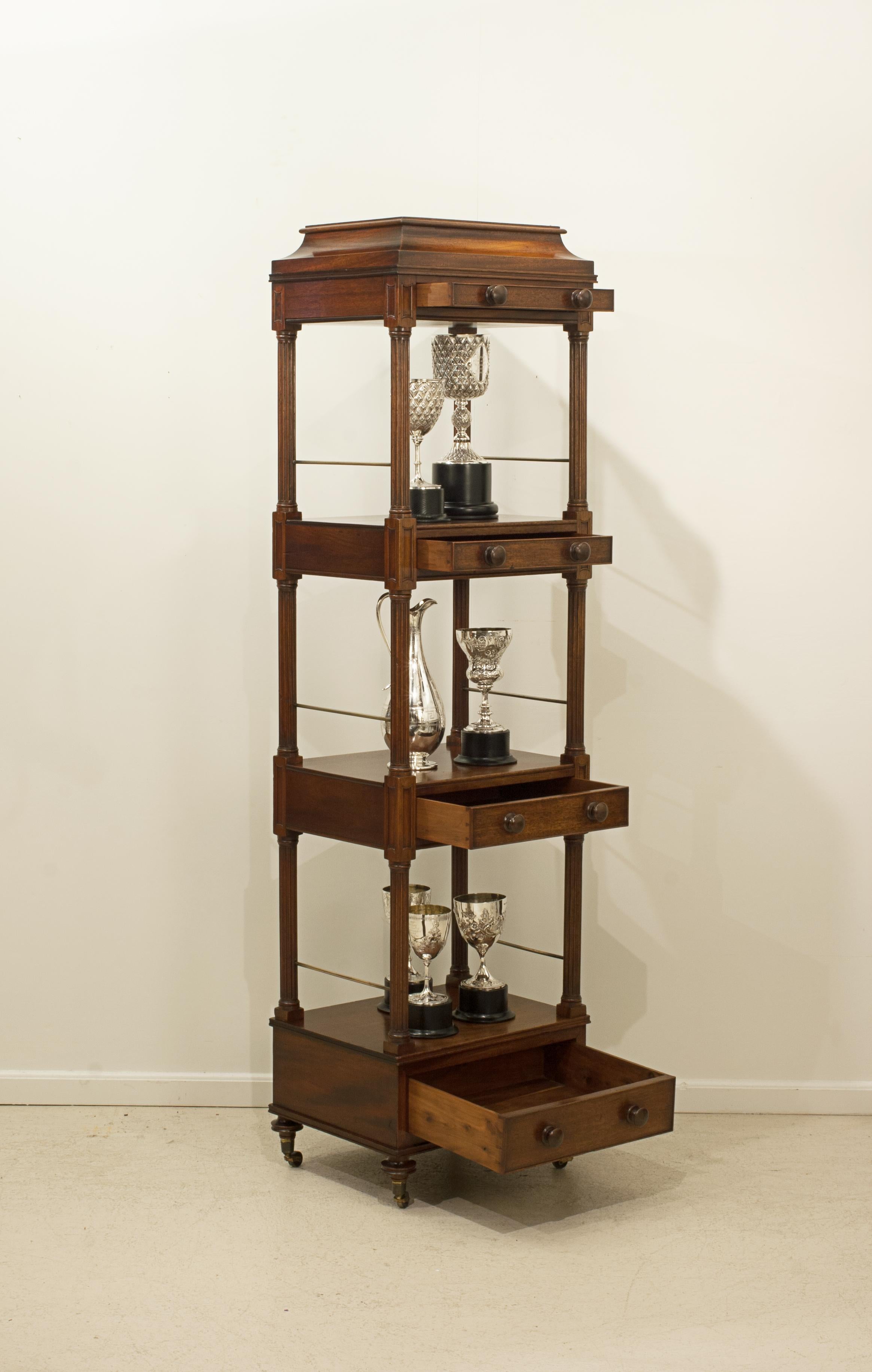 19th Century Antique Mahogany Regency Etagere, What Not For Sale