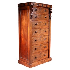 Antique Mahogany Secretaire Wellington Chest