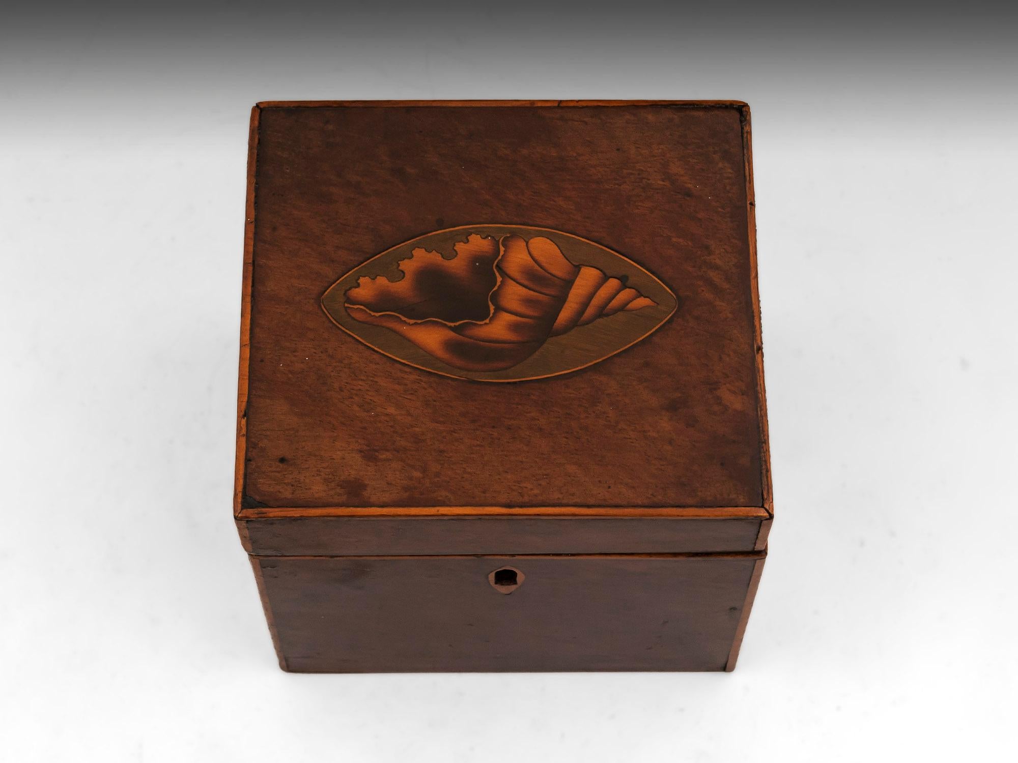 British Antique Mahogany Shell Inlaid Tea Caddy, 18th Century