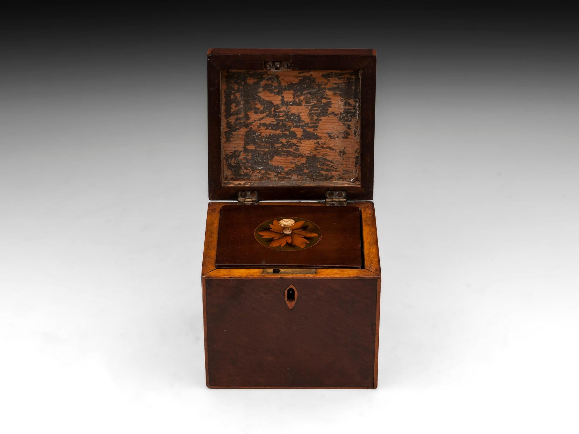 18th Century and Earlier Antique Mahogany Shell Inlaid Tea Caddy, 18th Century