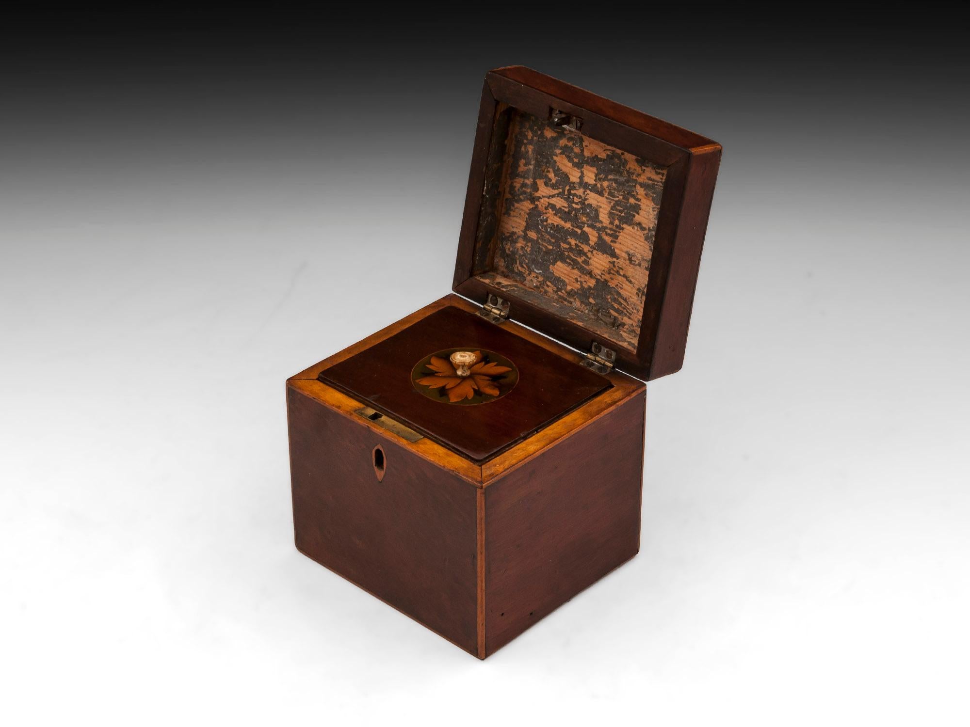 Boxwood Antique Mahogany Shell Inlaid Tea Caddy, 18th Century