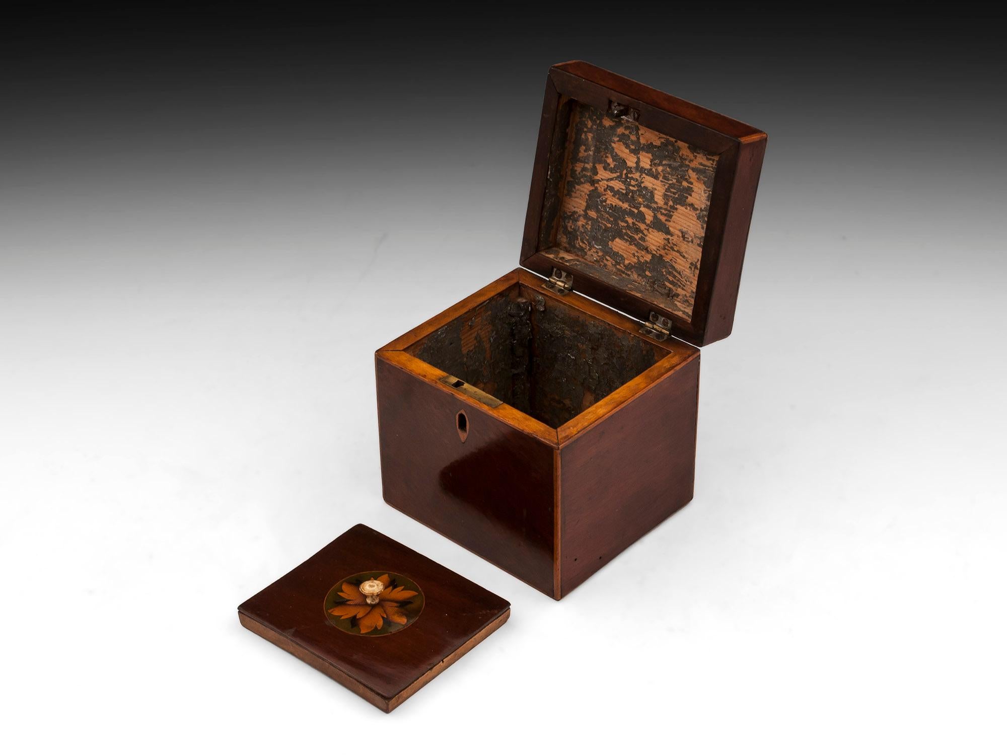 Antique Mahogany Shell Inlaid Tea Caddy, 18th Century 1
