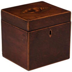 Antique Mahogany Shell Inlaid Tea Caddy, 18th Century