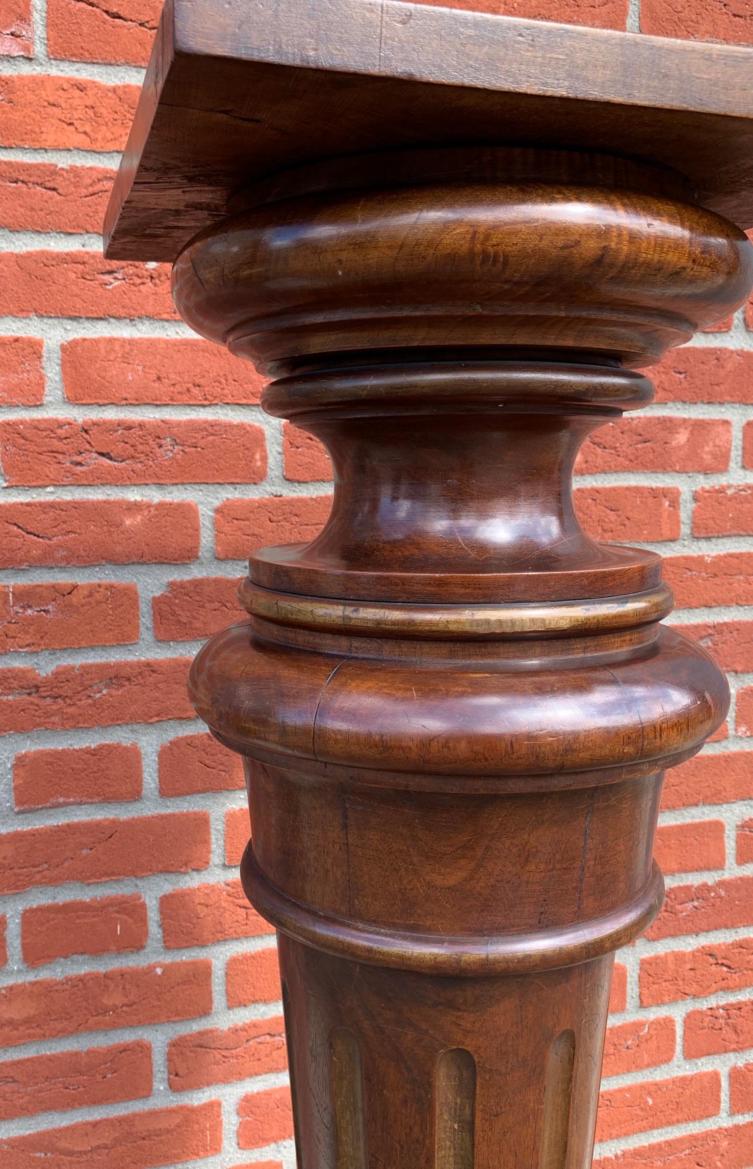Antique & Majestic Late 19th Century Hand Carved Nutwood Pedestal Display Stand 4