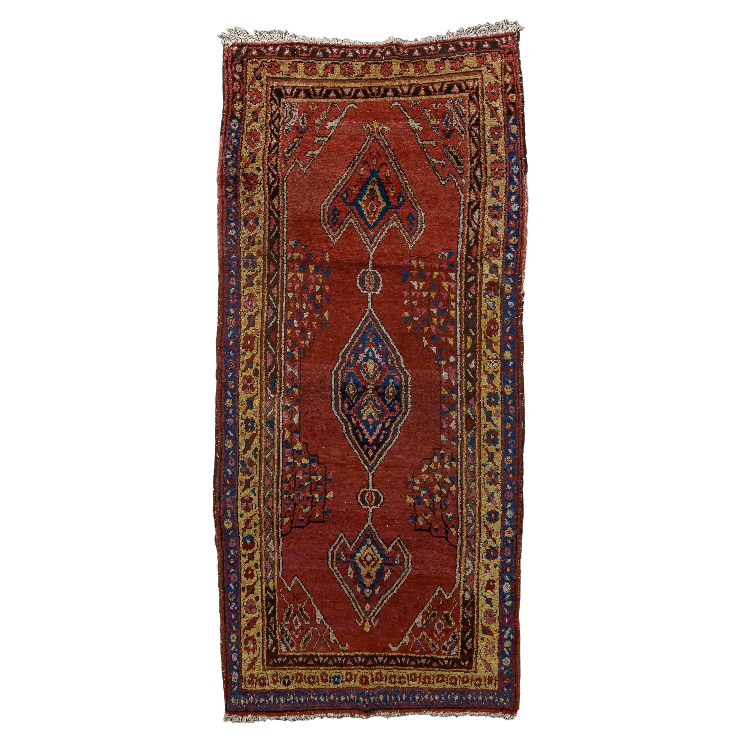 Antique Malayer Kellegi with Red Field and Blue Border For Sale