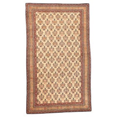 Alfombra Malayer Antigua 3'4'' x 5'8''
