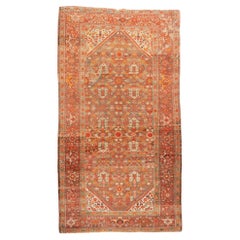 Alfombra Malayer Antigua 5'5'' x 9'10''
