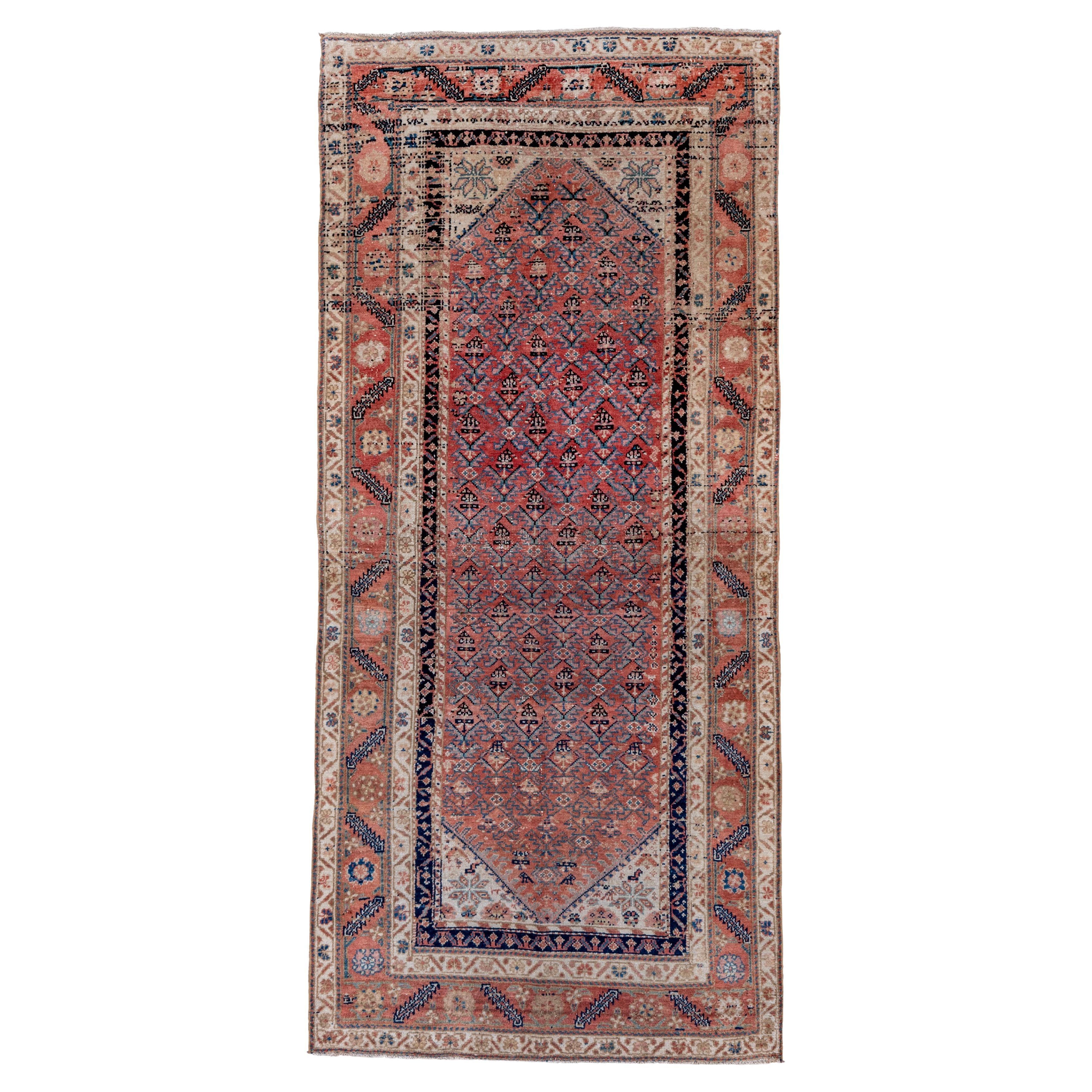 Tapis ancien de Malayer - Jardin persan répété avec champ floral