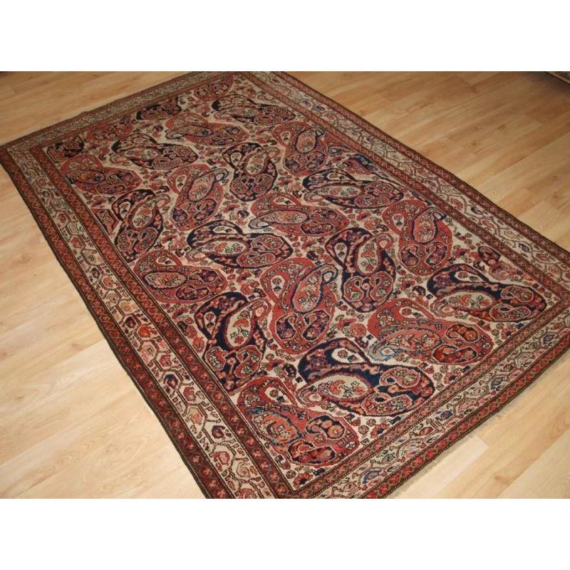 An outstanding example of a Malayer rug with the 'mother and child' boteh design on an ivory ground. This rug is a rare example from this village featuring this sought after design. The borders of the rug are detailed and very well drawn.

The rug