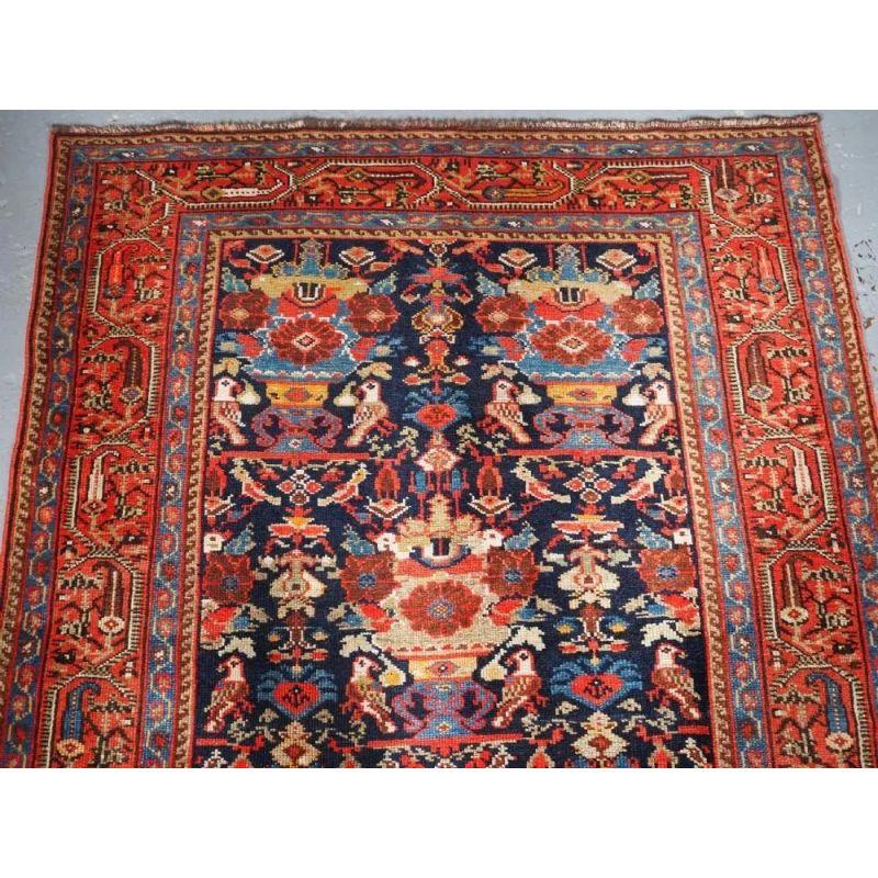 A good example of a Malayer rug with the 'vase and peacock' design on a dark indigo blue ground. This rug is a scarce example from this village featuring this well known design, the vases are of a large size with peacocks on either side. The borders