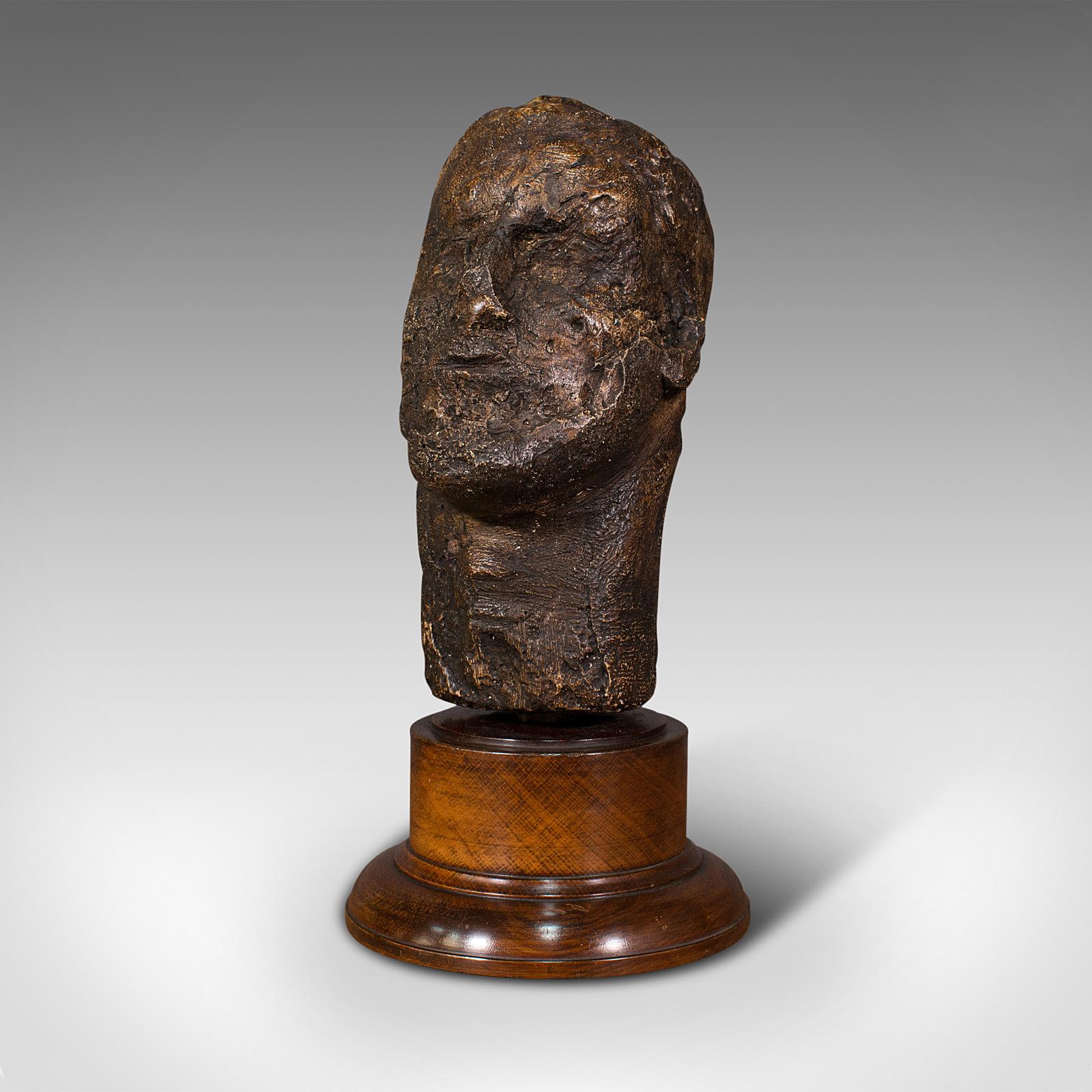 Antique Male Portrait Bust, Continental, Plaster, Sculpture, Victorian, C.1860 In Good Condition In Hele, Devon, GB