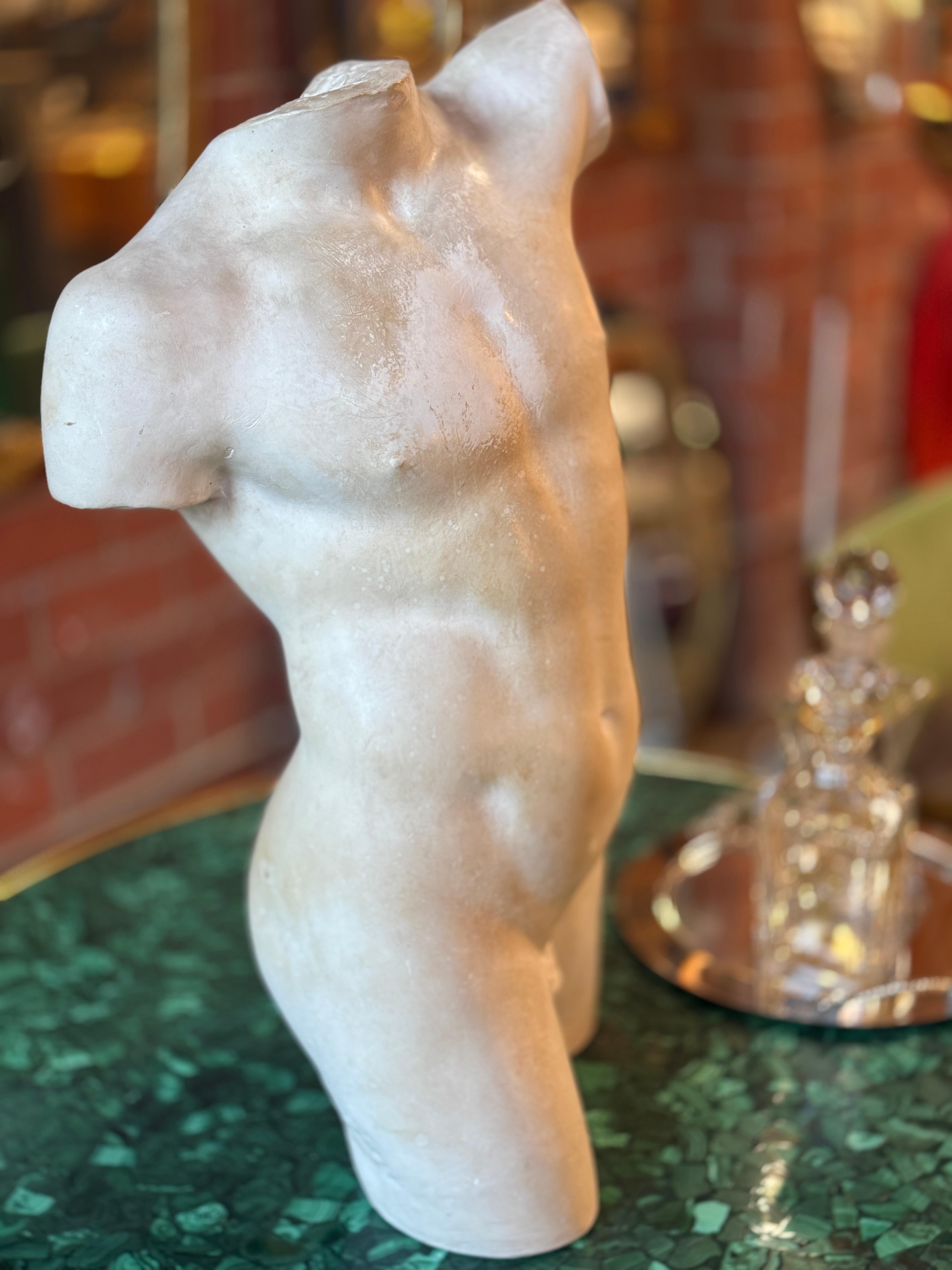 Antique Male Torso Bust Neoclásico en venta