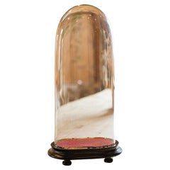 Antique Mantel Clock Dome, English, Glass, Taxidermy Showcase, Late Victorian