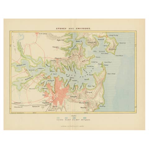 Antique Map Depicting Sydney and Surrounding Areas, Known as Port Jackson, c1889