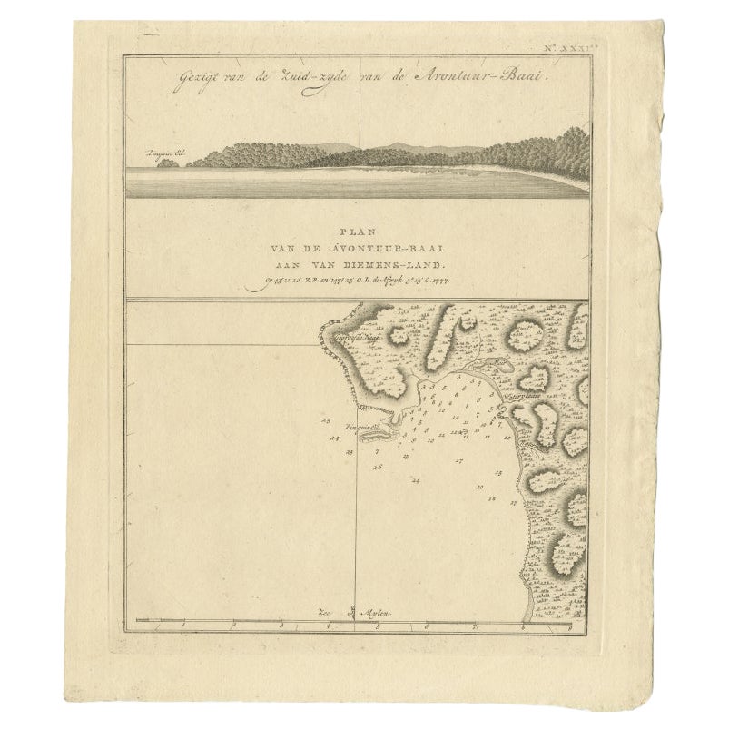 Mappa antica di Adventure Bay, Terra di Van Diemens, oggi Isola di Tasmania, 1803