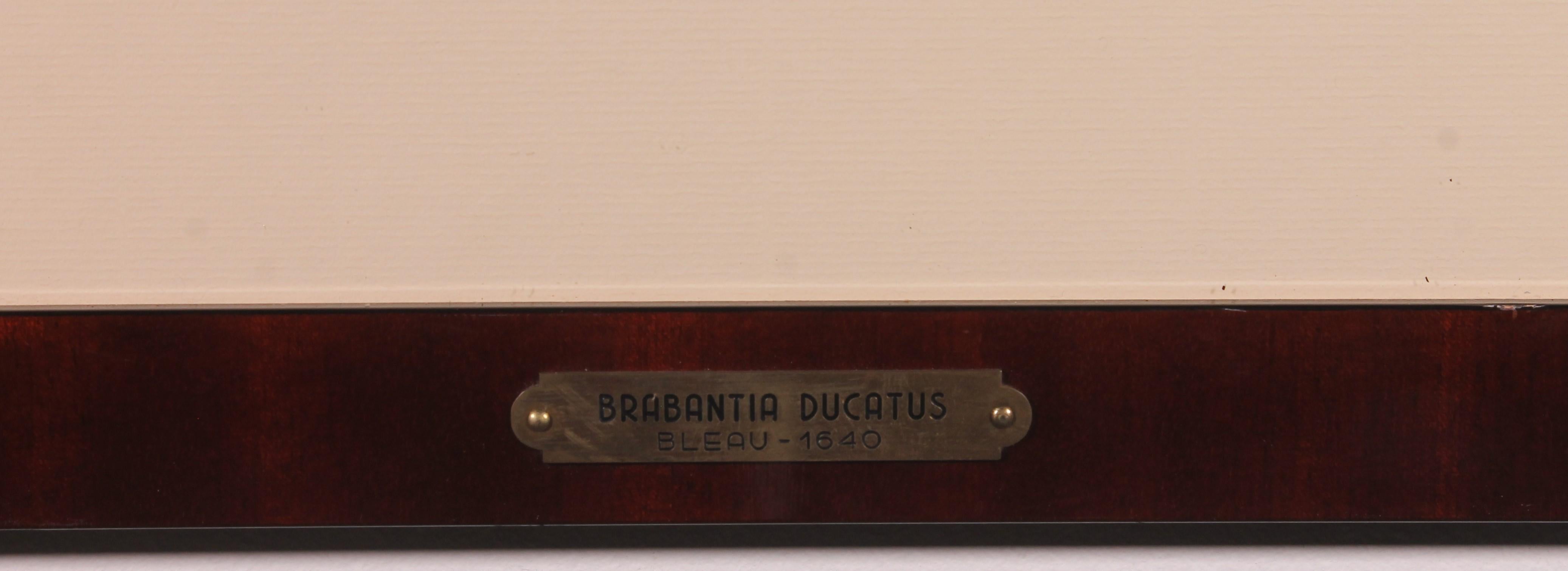Carte ancienne de Brabantia Ducantus par Bleau, vers 1640 en vente 1