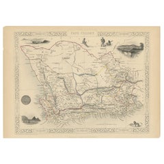 Antique Map of Cape Colony by Tallis, 1851