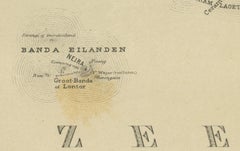 Antique Map of Ceram, Ambon, Banda, Buru, Moluccas by Dornseiffen - 1884