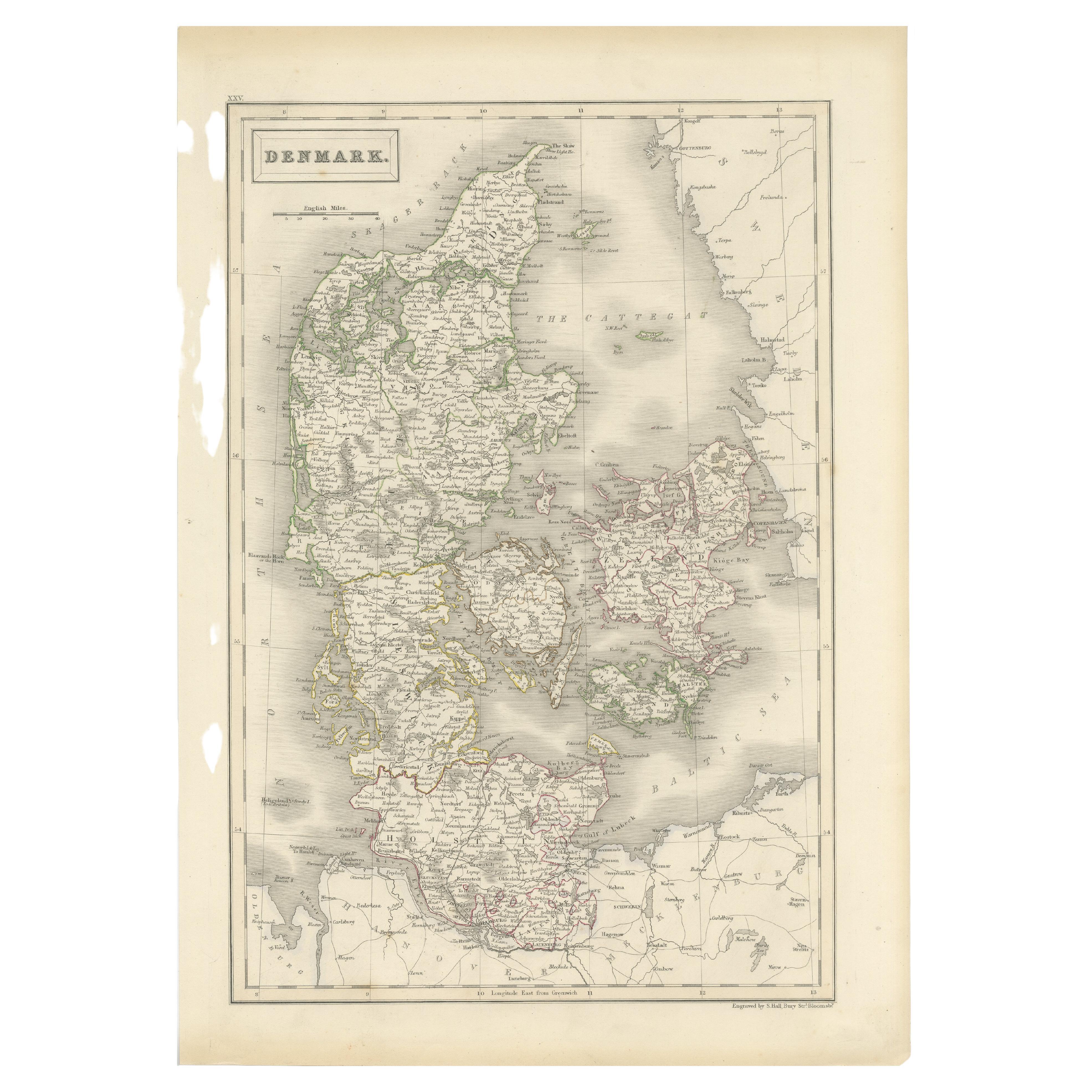 Antique Map of Denmark by Hall, circa 1820 For Sale