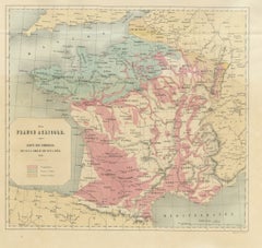 Antique Map of France, Wine, Cider and Beer Regions, Vienna, 1873