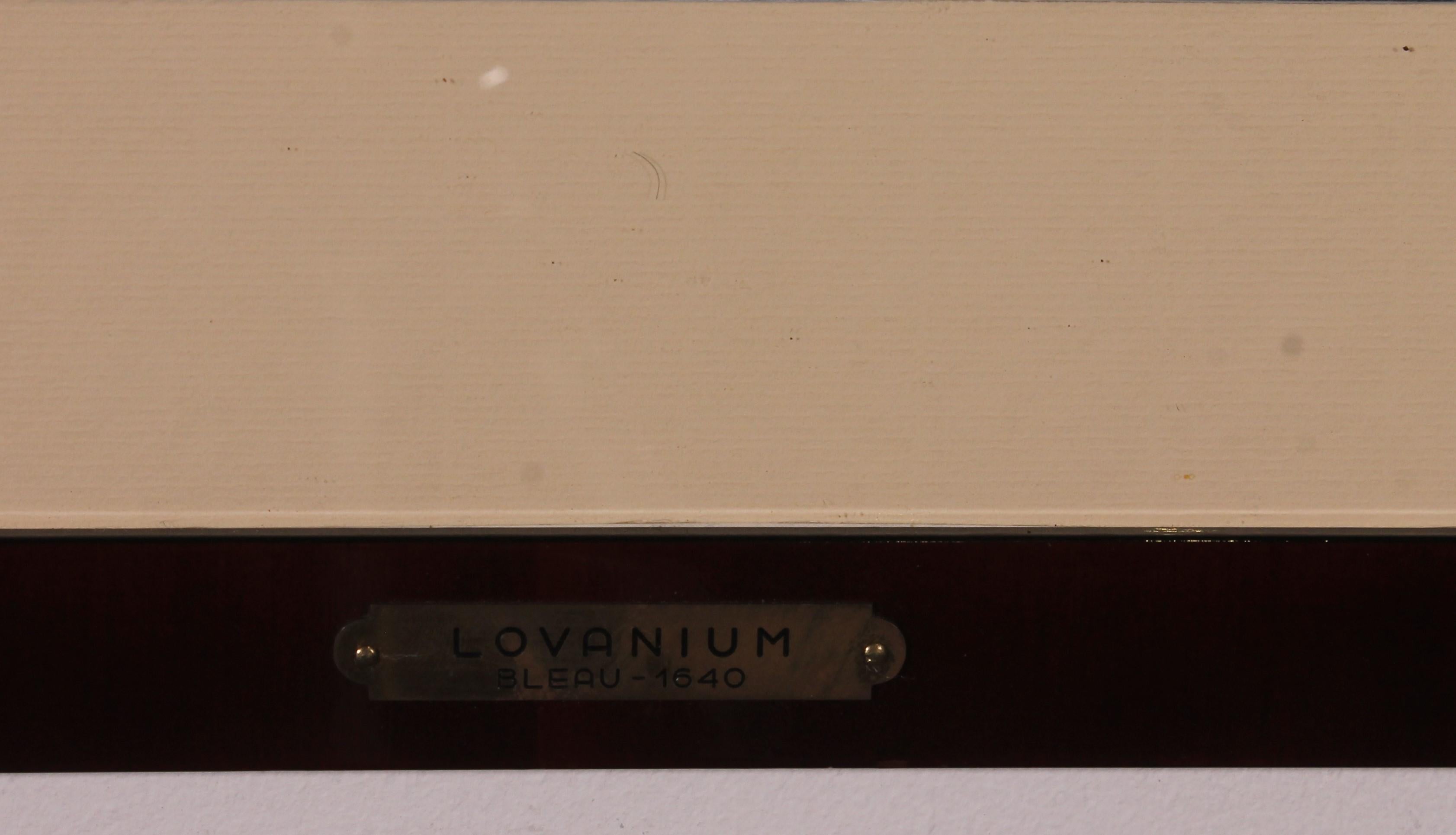Carte ancienne de Lovanium par Bleau, vers 1640 en vente 1