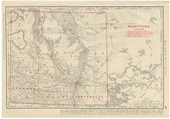Antique Map of Manitoba, with Lake Winnipeg, Rand McNally, 1899