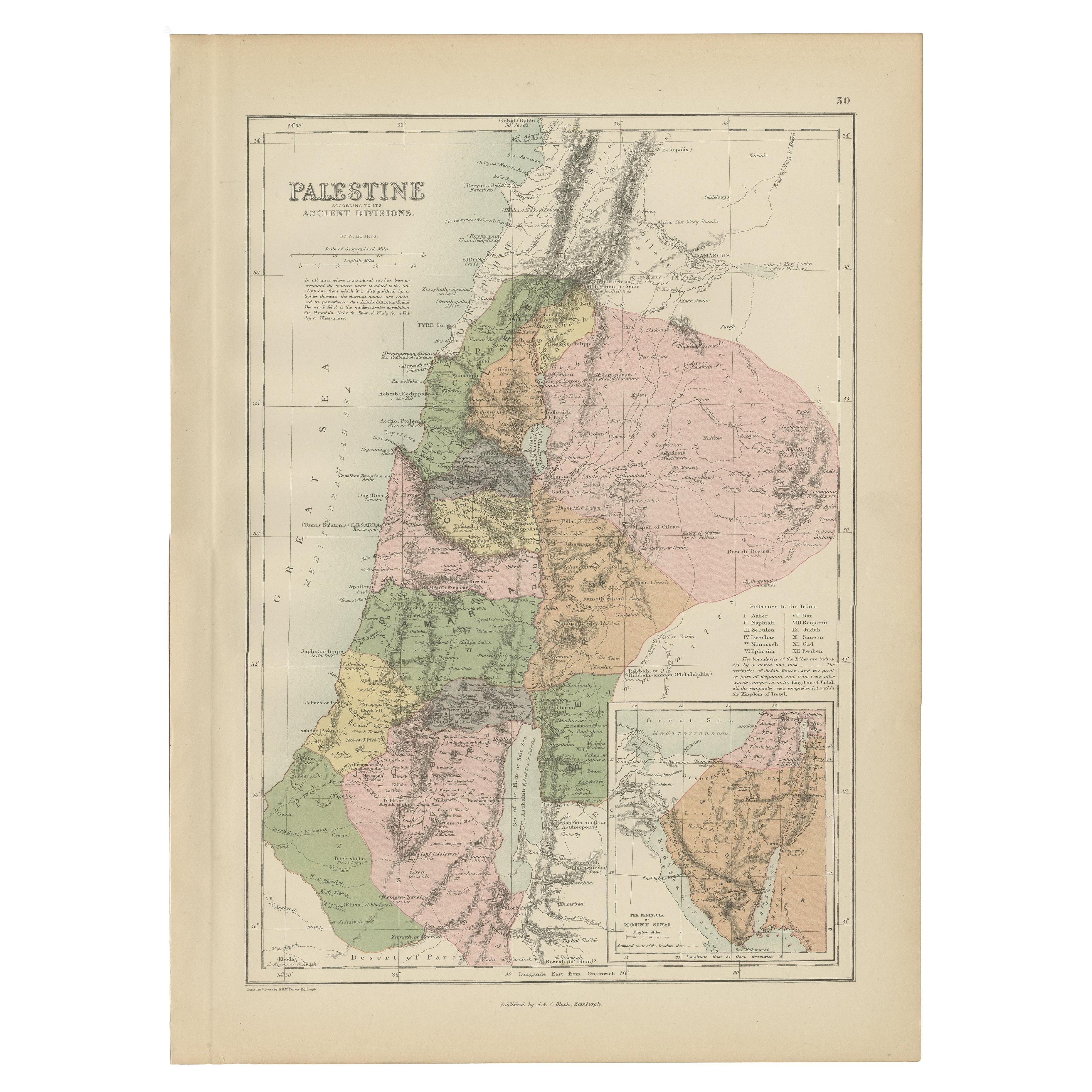 Antique Map of Palestine by A & C. Black, 1870