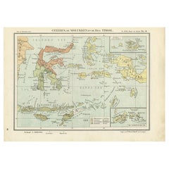 Antique Map of Sulawesi, Timor and the Moluccas by Bos, '1928'