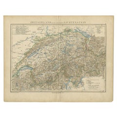 Antique Map of Switzerland and Liechtenstein by Petri, c.1873