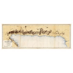 Antique Map of Taluti Bay by Stemler, C.1875