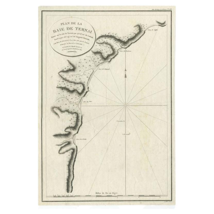 Antique Map of the Bay of Terney by La Pérouse, 1797 For Sale