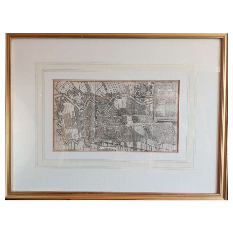 Antique Map of the City of Haarlem by Tirion, 1742