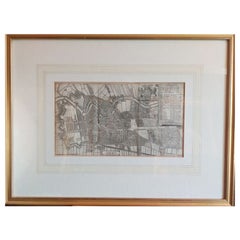 Antique Map of the City of Haarlem by Tirion, 1742