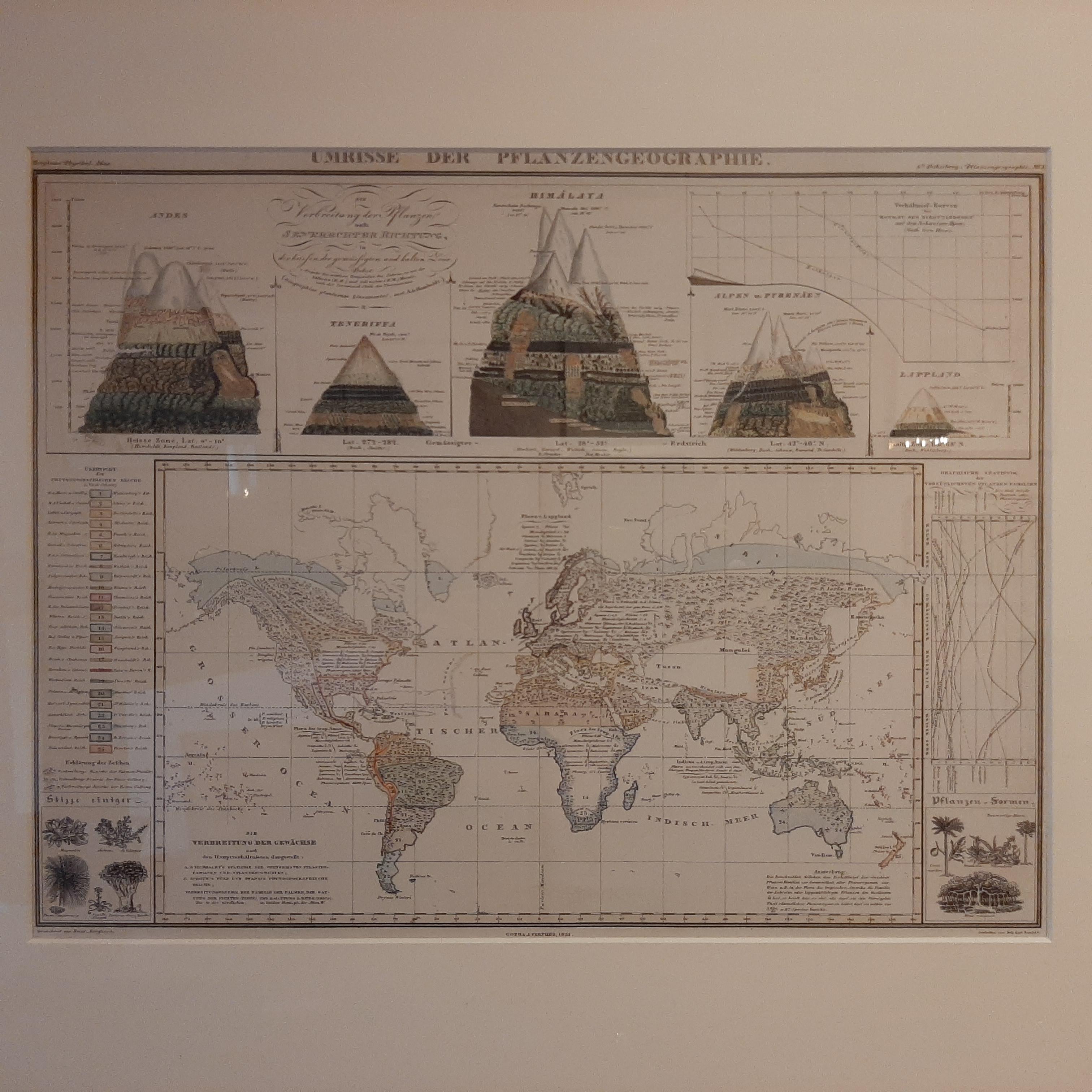 Antique map titled 'Umrisse der Pflanzengeographie'. Original antique map showing the distribution of vegetation throughout the world. Five drawings above the map show the vegetation in numerous areas including the Andes, Himalayas and the Alps.