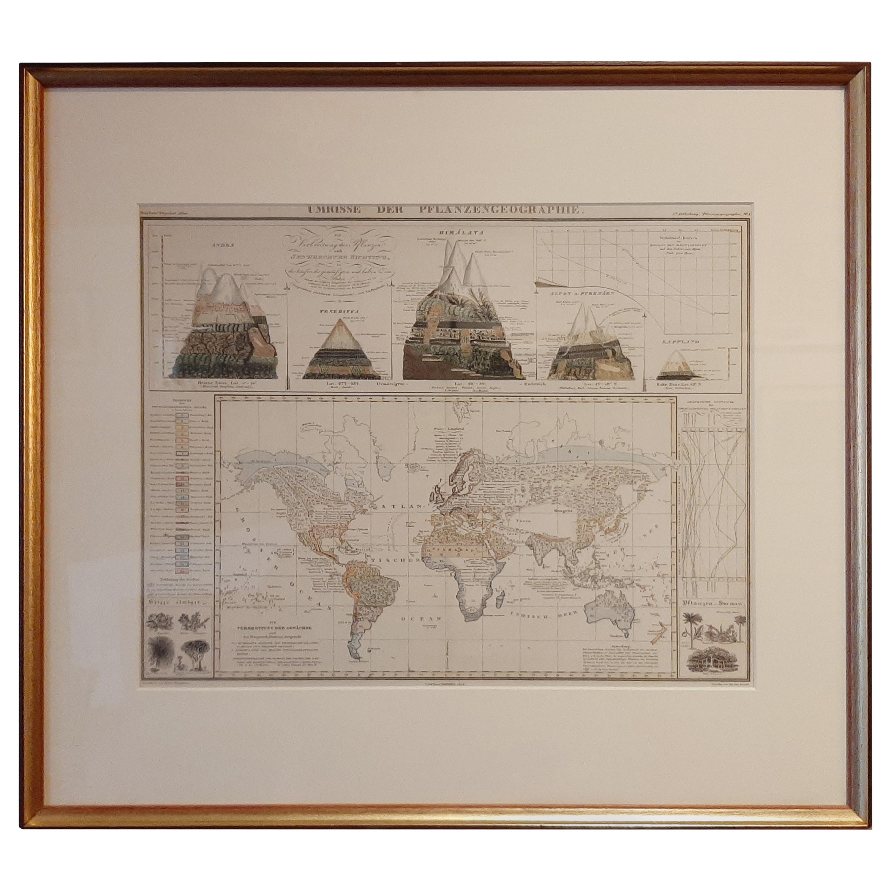 Antique Map of the Distribution of Vegetation throughout the World '1851' For Sale