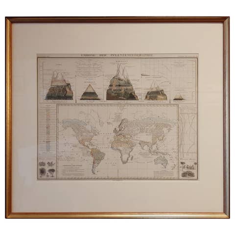 Antique Map of the Distribution of Vegetation throughout the World '1851'