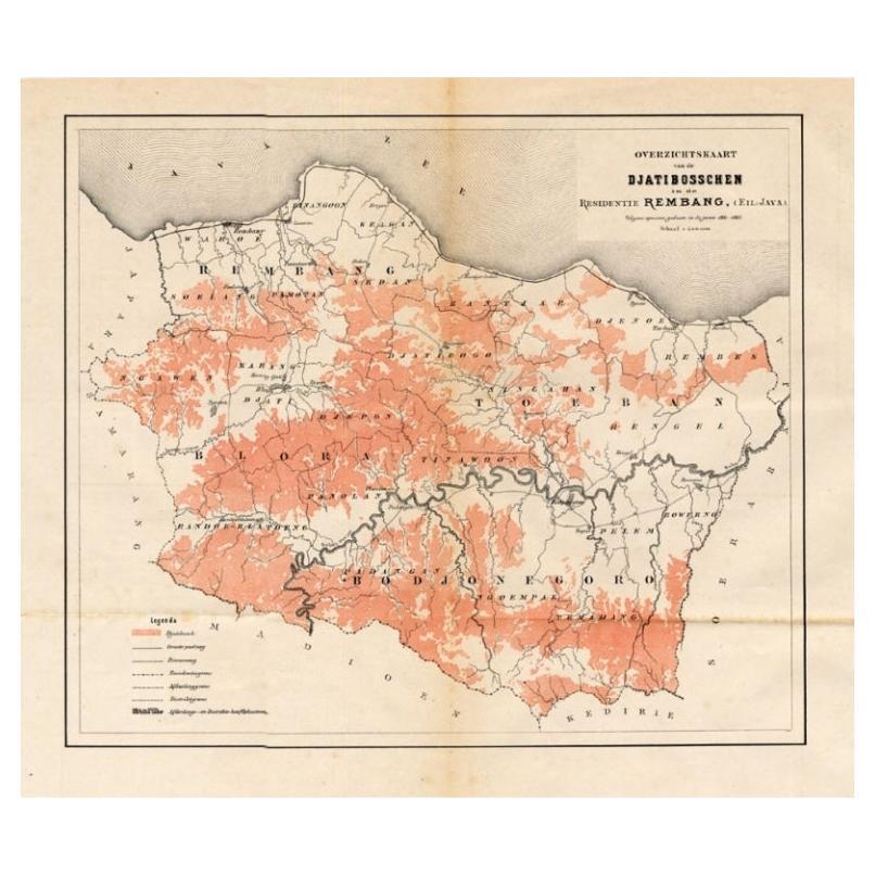 Antique Map of the Djati 'teak wood' Forest Near Rembang, Java by Stemler, 1875 For Sale