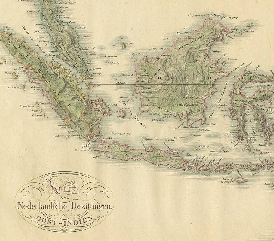 Antique Map of the Dutch East Indies by Van den Bosch '1818'