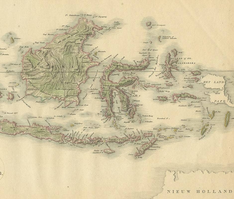 Antique Map of the Dutch East Indies by Van den Bosch '1818'
