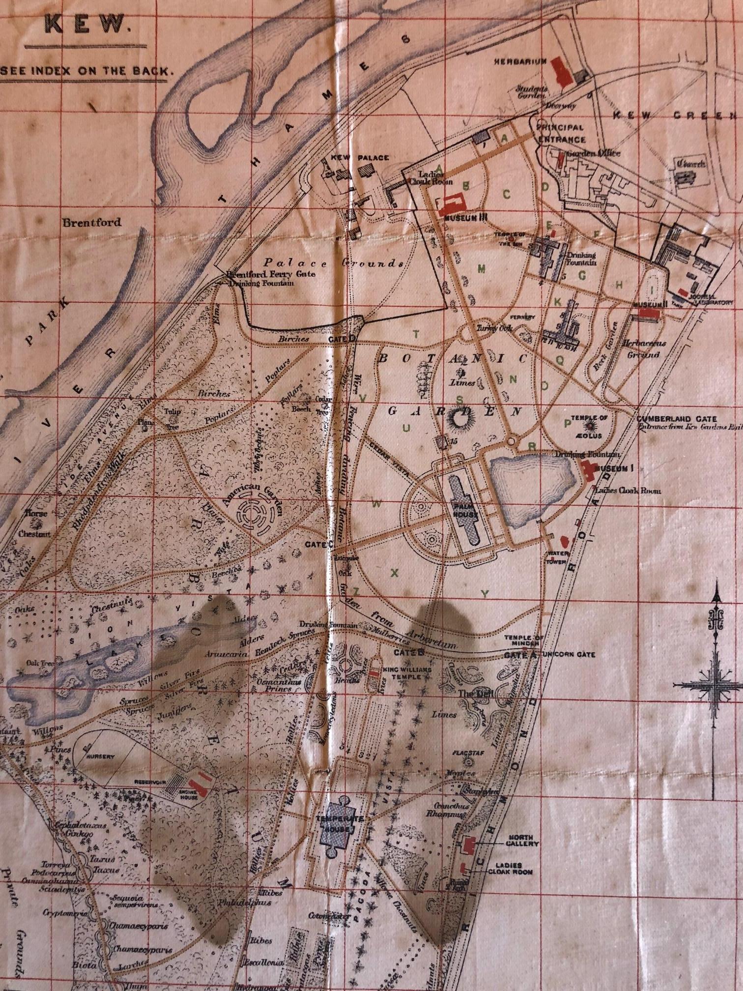 19th Century Antique Map of the Royal Botanic Garden & Arboretum Kew in London, England For Sale