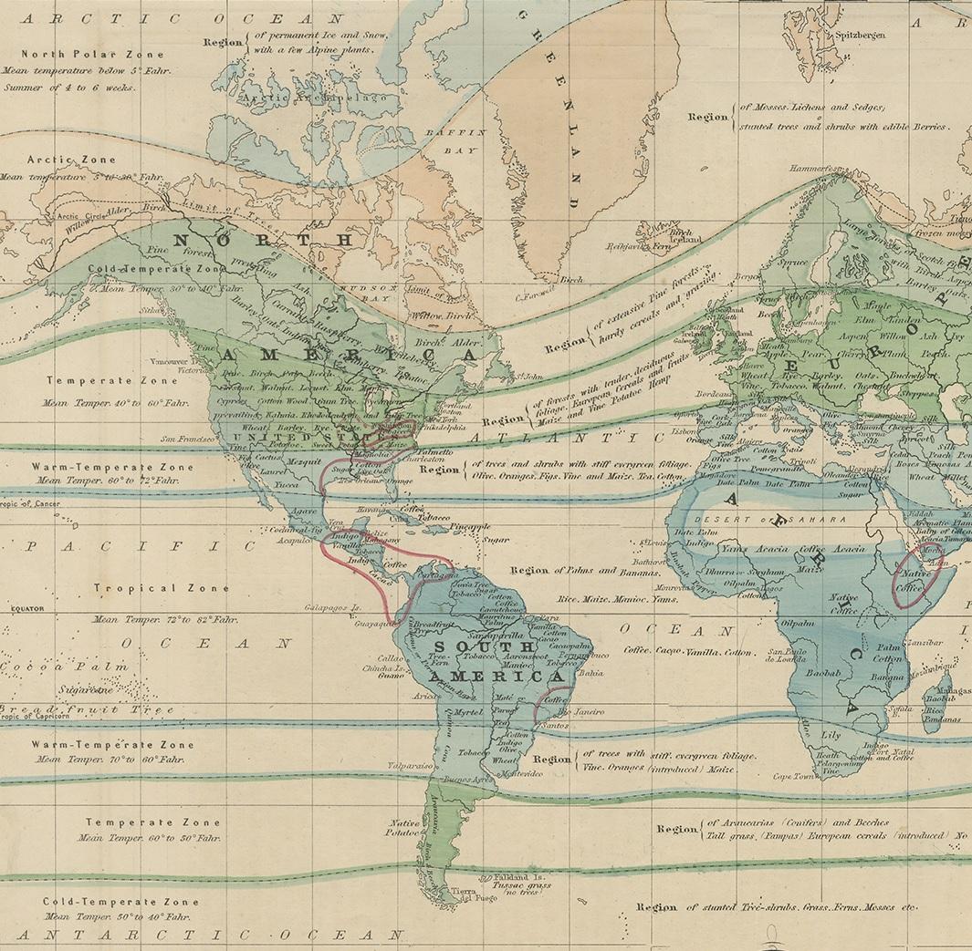 Carte ancienne du monde montrant la distribution des plantes et des minéraux, 1872 État moyen - En vente à Langweer, NL